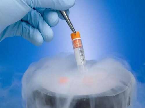 郑州供卵试管代怀生子费用与希望：资深专家分享真实见解