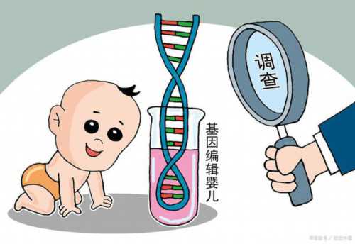 山大生殖圆梦之旅：我的供卵试管心路历程