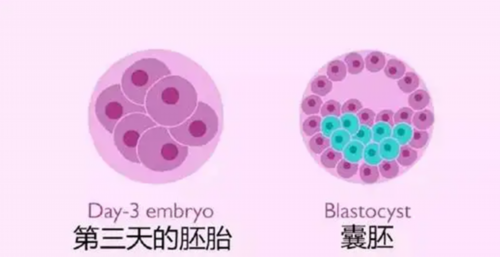 云南领先试管医院在线咨询指南及热门机构推荐，助孕套餐价格表参考